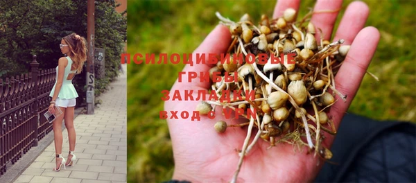 крисы Армянск