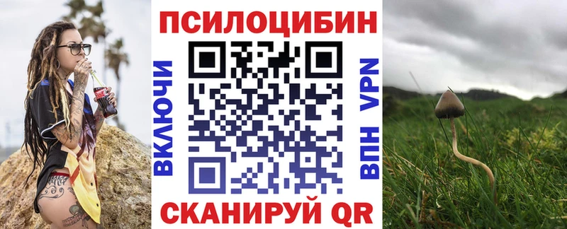 Псилоцибиновые грибы MAGIC MUSHROOMS  кракен зеркало  Борисоглебск 